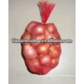 red shallot onion